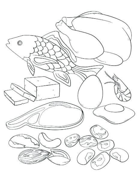 protein coloring pages  getcoloringscom  printable colorings