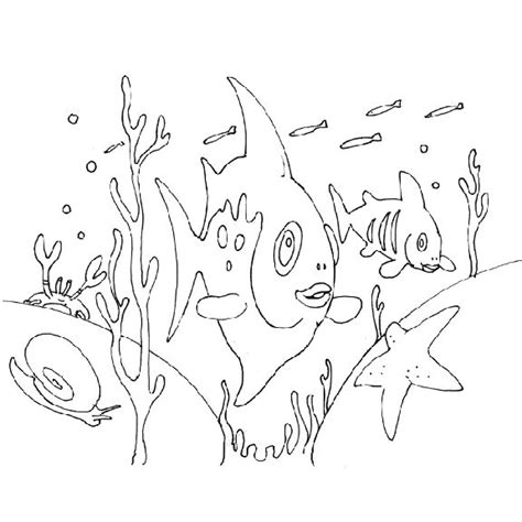 image detail    sea fish fish coloring page coloring