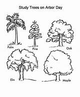 Arbor Coloring Pages Trees Study Print Getcolorings sketch template