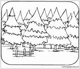 Forest Deciduous Coloring Pages Getcolorings Colouring Color sketch template