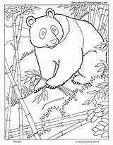 Coloring Pages Animal Realistic Printable Mammals Kids Getcolorings Print Four Book sketch template