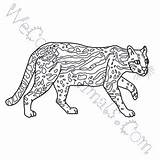 Ocelot Coloring Pages Click sketch template