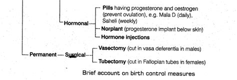 reproductive health cbse notes for class 12 biology learn cbse
