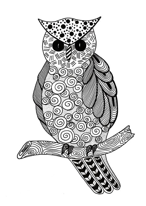 zentangle owl adult coloring page favecraftscom