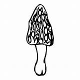 Fungi Pilze Pflanzen Fensterbilder Malvorlagen Homeschooldressage sketch template