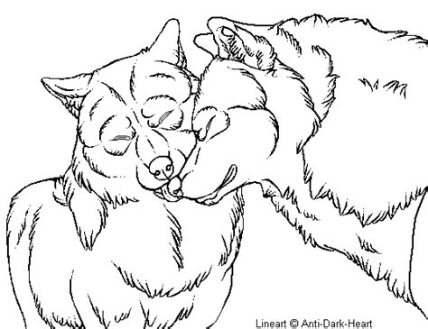 realistic wolf coloring pages realistic wolf coloring pages