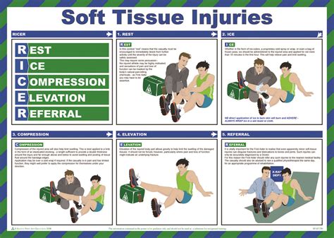 Management Of Soft Tissue Injuries Hsc Pdhpe
