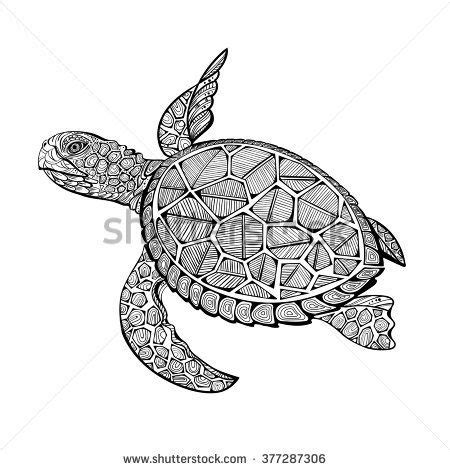 vector illustration  sea turtle  coloring book pages  kids