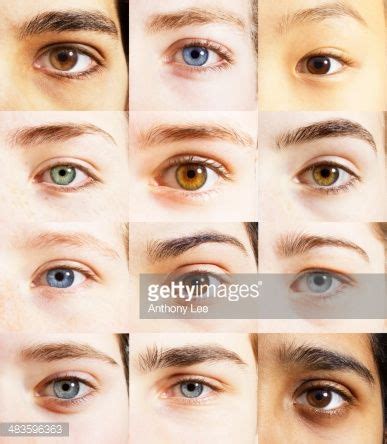 realistic eye drawing face drawing reference human reference anatomy reference photo