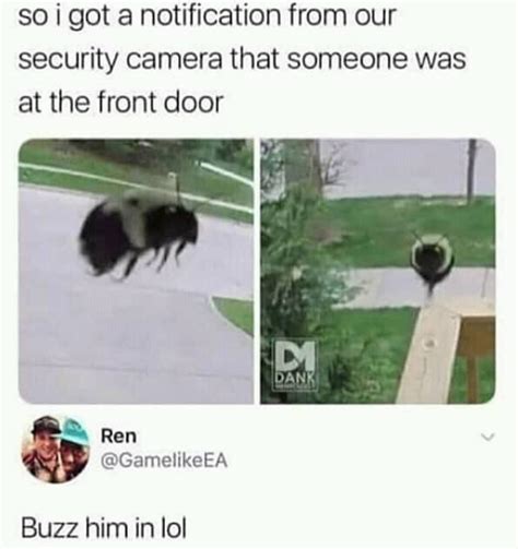 buzz buzz rpuns