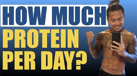 How Much Protein Do You Need A Day Newbie Fitness Academy
