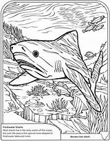 Coloring Shark Pages Basking Sheet Dover Publications Sharks Omalovánky Adult Goblin Info Freshwater Doverpublications Welcome Scene Kluci Choose Board Rocks sketch template