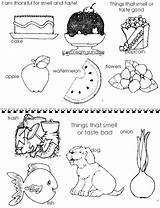 Taste Smell Coloring Sunbeam Lds Clipart Kids Primary Mormon Teaching Nursery Pages Object Lesson Visit sketch template