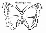 Cloak Mourning Butterfly Colors Printer sketch template