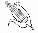 Corn Coloring Cob Color Ear Pages Para Colorear Mazorca Drawing Maiz Good Getdrawings Getcolorings Printable Corncob sketch template