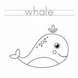 Whale Tracing Vecteezy sketch template