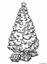 Gifts Arbol Ausmalen Weihnachtsbaum Craciun Kolorowanka Bradut Superb Sheets Navidenos Choince Cukrowe Laski Druku Colorat Holiday sketch template
