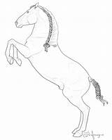 Rearing Lipizzaner Horse Coloring Andalusian sketch template