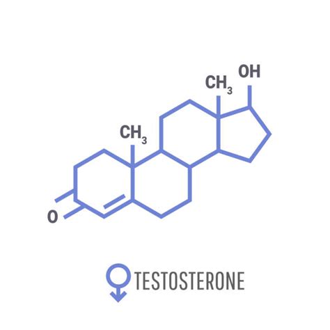 80 testosterone tablets illustrations royalty free vector graphics