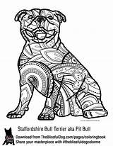 Coloring Pages Pitbull Bull Dog Staffordshire Terrier Colouring Book Puppy American Adult Color Pit Animal Theblissfuldog Print Printable Breeds Terriers sketch template