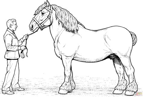 draft horse coloring pages coloring pages