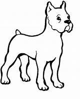 Dog Coloring Pages Doge Printable Template sketch template