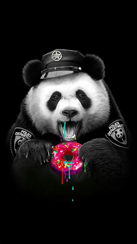 panda  donuts cute panda wallpaper panda wallpapers panda background