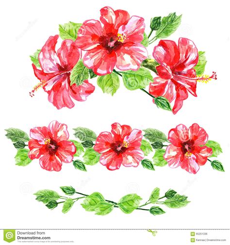 set of red watercolor hibiscus flower stock illustration