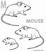 Mouse Coloring Pages Printable Kids Cool2bkids Sheets Template Print Cartoon Preschool Choose House Board sketch template