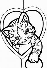 Coloring Pages Kitten Cute Cat Kids Heart Printable Colouring Christmas Color Sheets Valentine Hearts Drawing Mandala Gif Clipart Adults Kittens sketch template