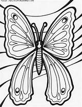 Butterfly Coloring Pages Drawing Printable Line Butterflies Glass Mosaic Barn Big Thecoloringbarn Drawings Color Adult Clip Kids Stained sketch template