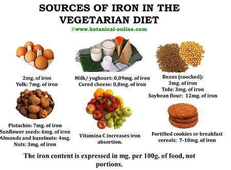 lactovegetariangrocerylist main sources  iron