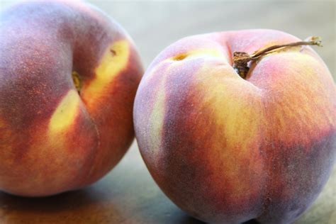 showfood chef peach blueberry ginger jam video interview