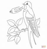 Swallow Coloring Pages Printable Bird Pattern Drawing Getdrawings Colorings Getcolorings 88kb sketch template