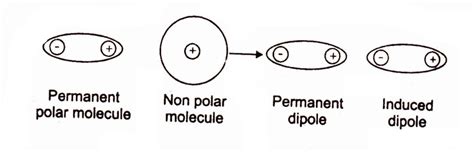 dipole induced dipole intermolecular forces chemistry skills