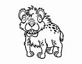 Hyena Coloring Spotted Pages Getdrawings Getcolorings sketch template