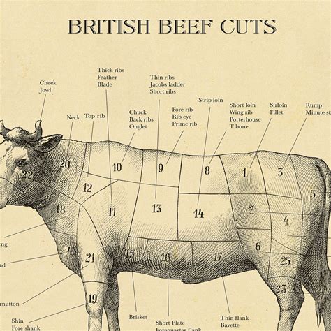 prime cuts  beef chart