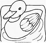 Pasari Colorat Mewarnai Bebek Eenden Anatra Uccelli Papera Oiseaux Eendjes Kleurplaten Eend Colorir Papere Planse Animasi Pajaros Ptice Bojanke Enten sketch template