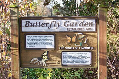 butterfly garden sign butterfly garden school garden garden signs
