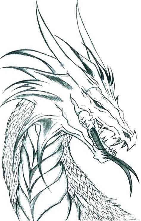 coloring pages  realistic dragons  getdrawings