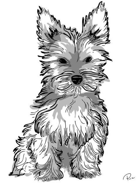 yorkie puppy drawing  getdrawingscom dog coloring page dog