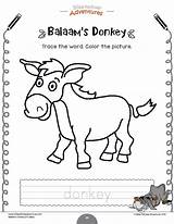 Donkey Balaam sketch template