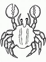 Crab Coloring Pages Kids Printable sketch template
