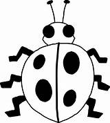Drawing Line Outline Ladybug Kindergarten Worksheet Guide Coloring Painting Clip Bug Lady sketch template