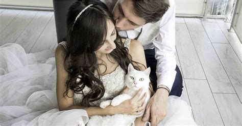 Wedding Photos With Cats Popsugar Love And Sex
