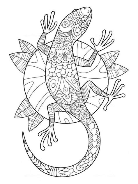 lizard mandala coloring pages  animal coloring pages blogs