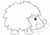 Hedgehog Happy Template Coloring Coloringpage Eu sketch template