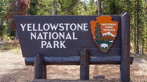 fascinating facts  yellowstone national park advnture