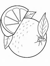Orange Coloring Pages Fruits Printable Color Recommended sketch template