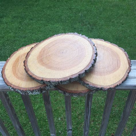 natural wood slices  basswood slabs    inches rustic tree